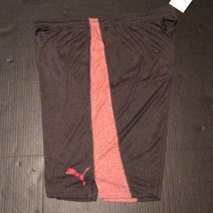 Men’s size XXL Puma X-Factor Shorts